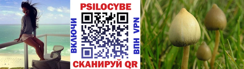 Купить  Красный Холм  Псилоцибиновые грибы мицелий 